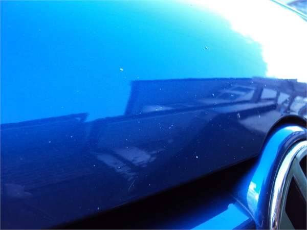 Bonnet Chips