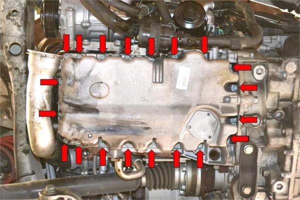 pic10