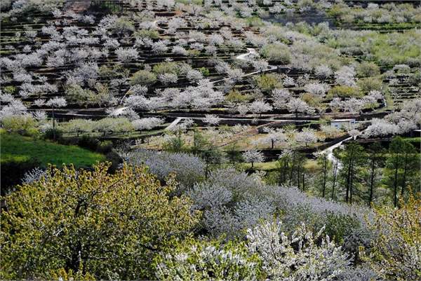 driving in spain Valle-del-Jerte