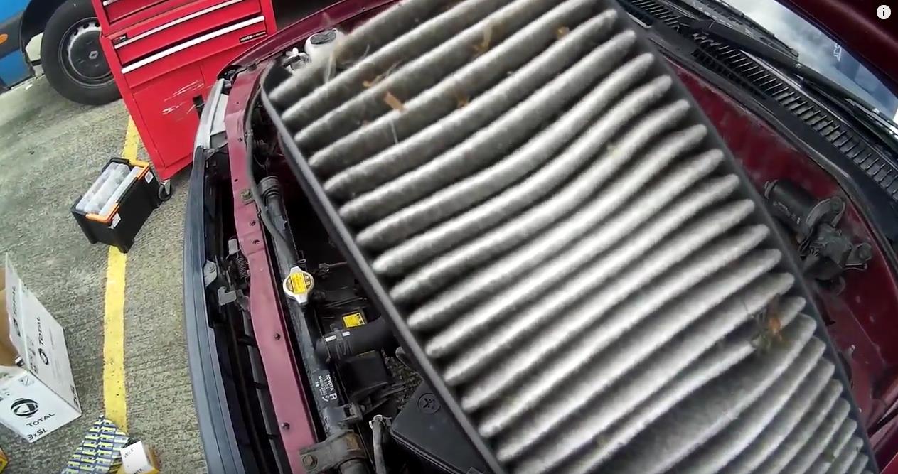 Charlotte the Starlet - Part 2: Prepping For The ALMC Endurance Trial