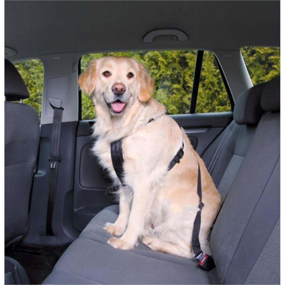 Car seat belt for dogs uk