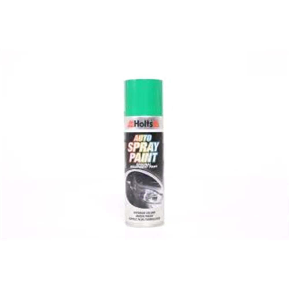 Holts Paint Match Pro 300 Ml Exact Colour Aerosol For Holts Paint Match Pro 300 Ml Exact Colour Aerosol For Micksgarage